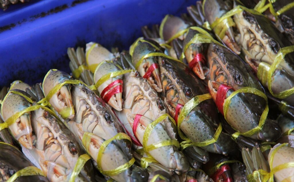 buymeacoffee crab 6879021 1280